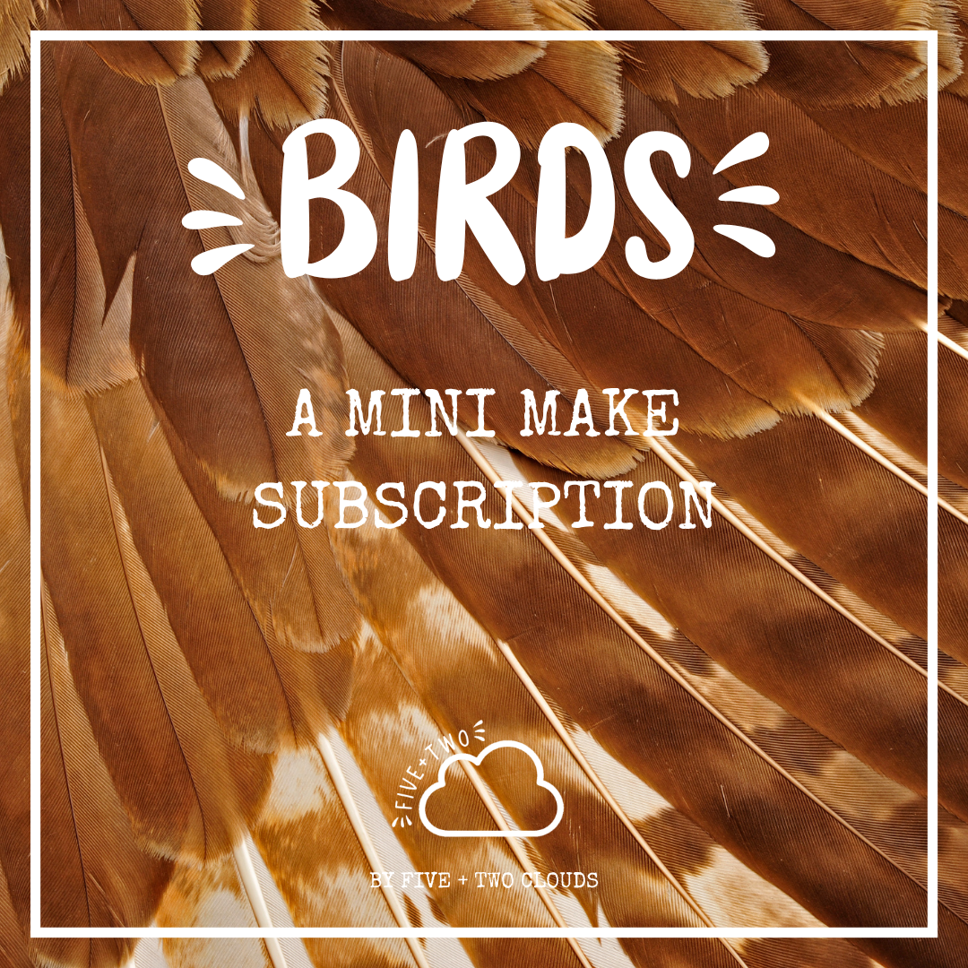 Subscription - Mini Make Club Birds