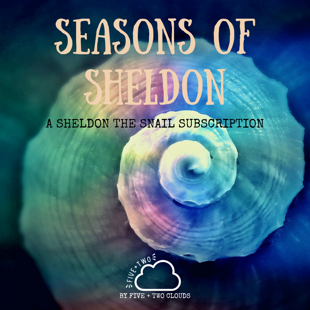 Subscription - Seasons of Sheldon