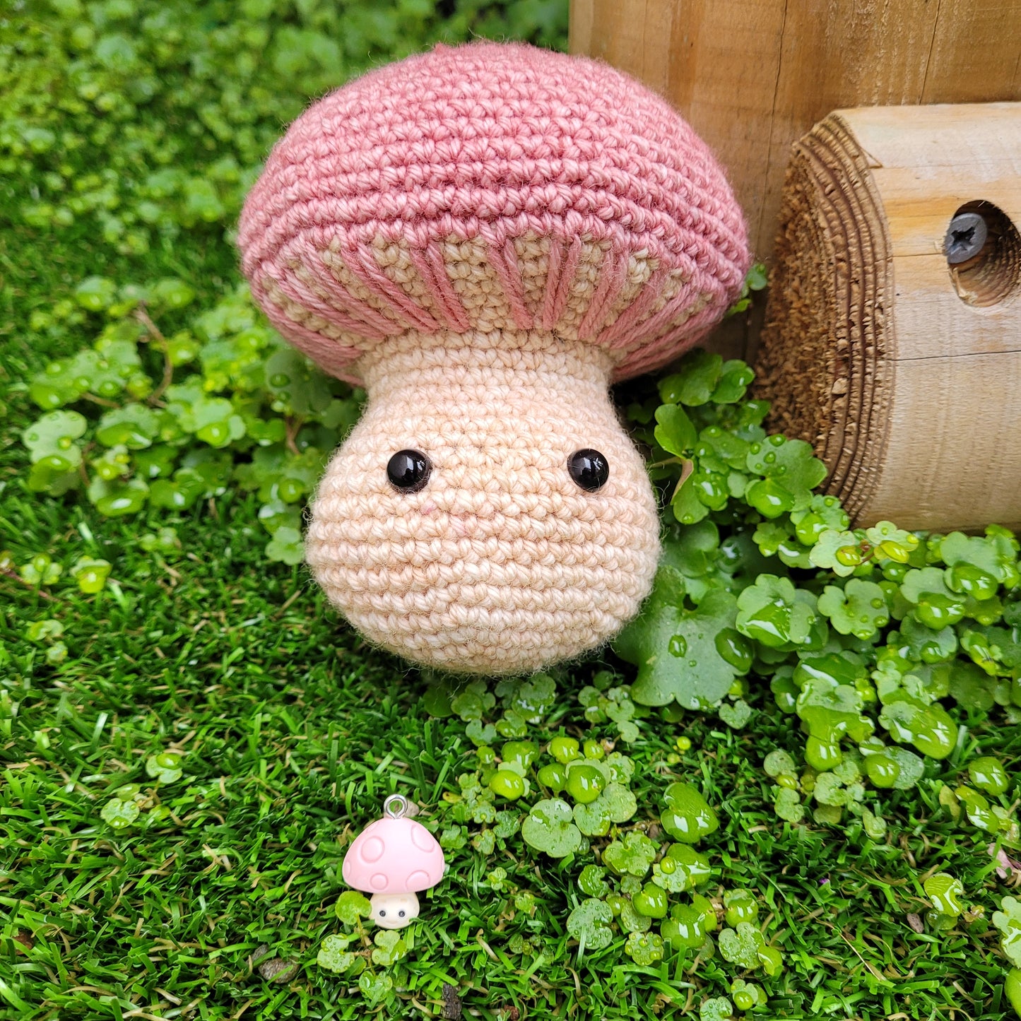 Crochet Kit - Matilda the Mushroom