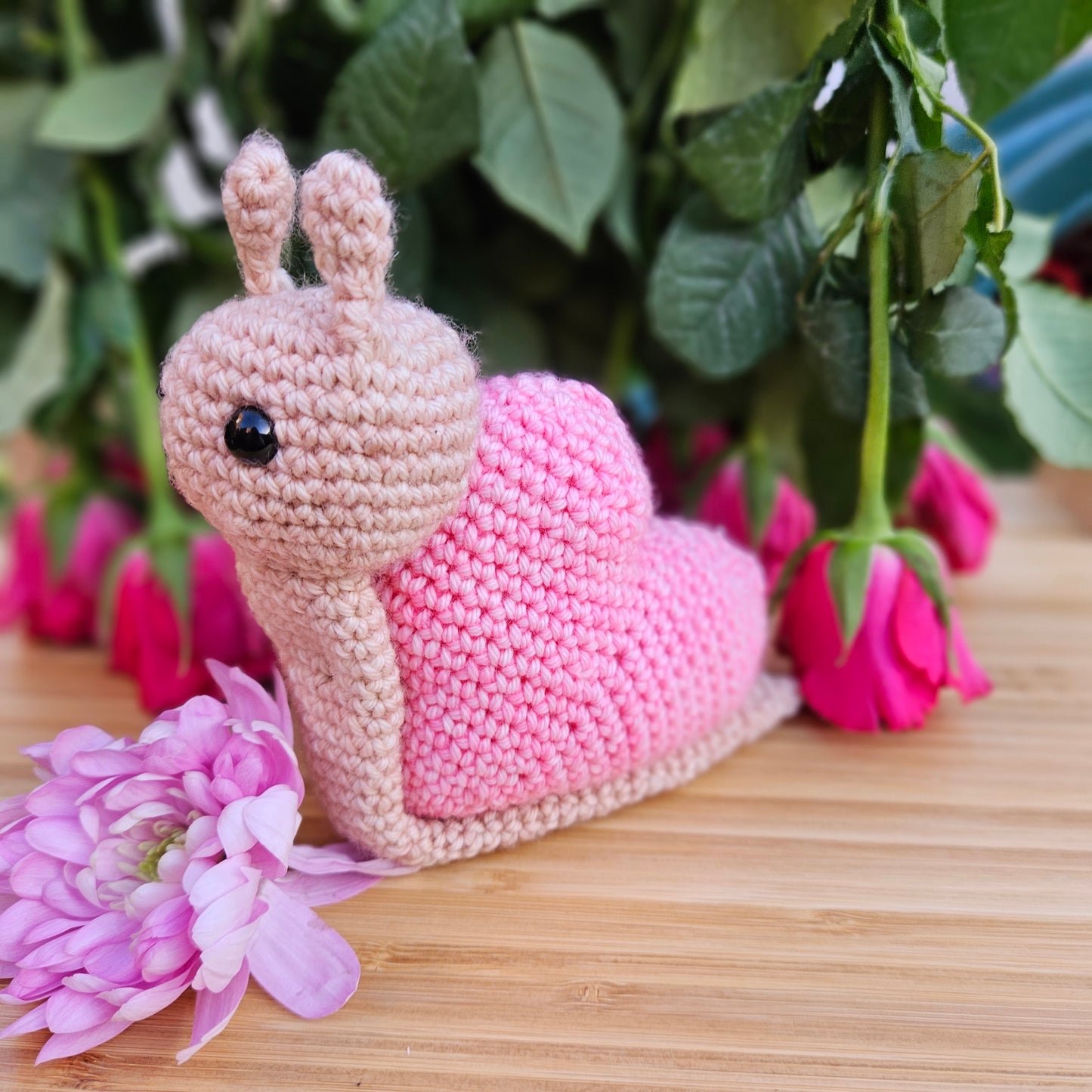 A Year of Sheldon - Hand Dyed Yarn