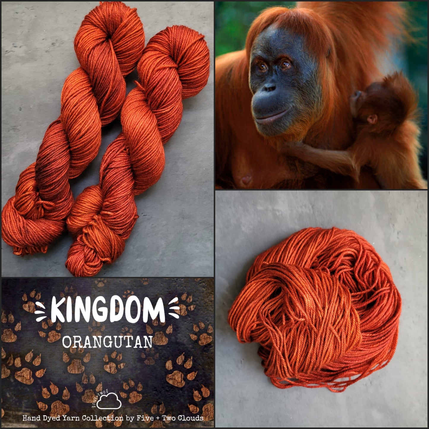 Kingdom Collection