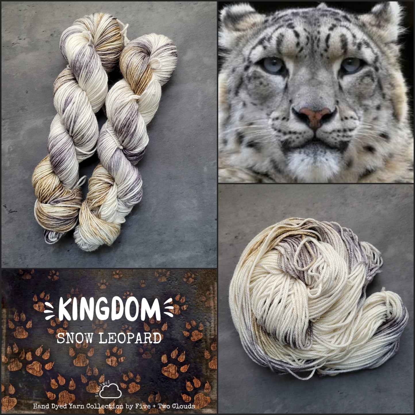Kingdom Collection