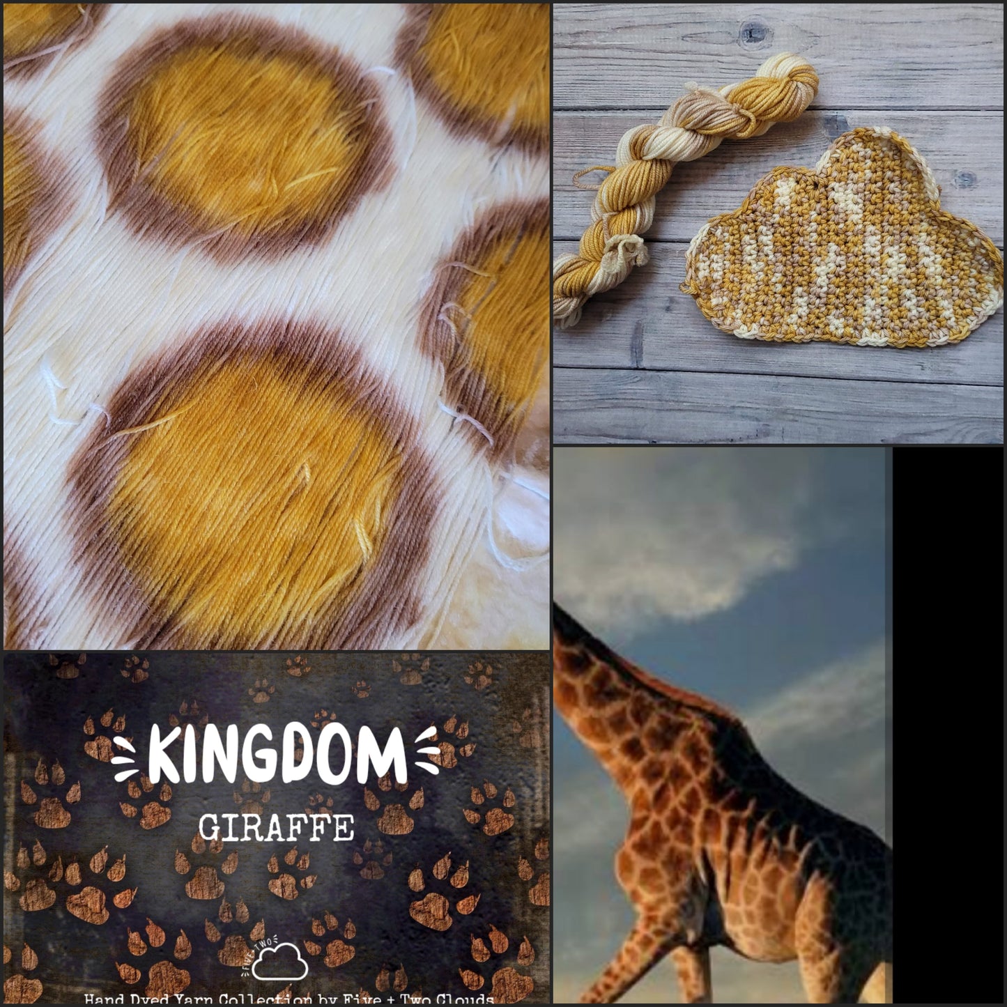 Kingdom Collection