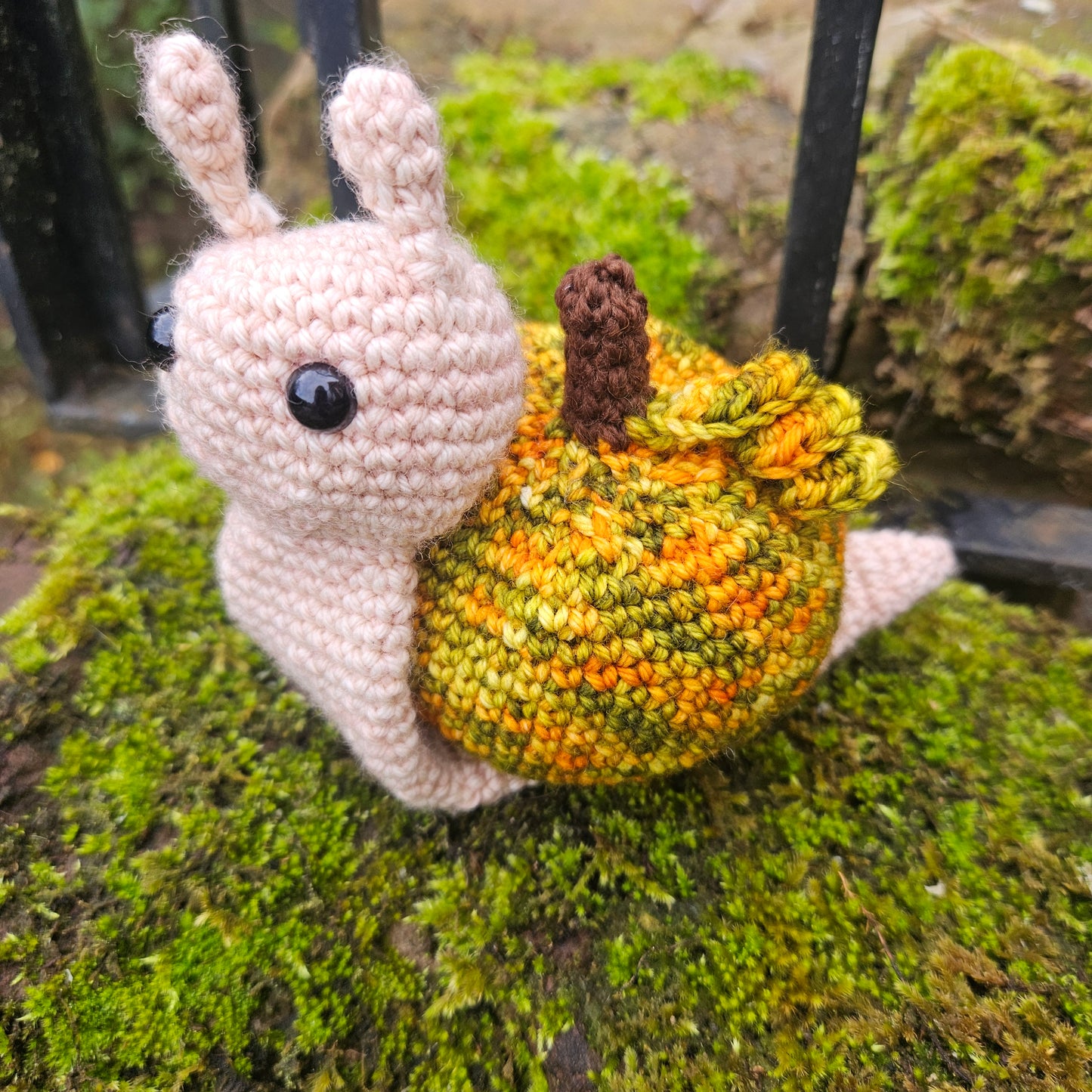 A Year of Sheldon - Hand Dyed Yarn