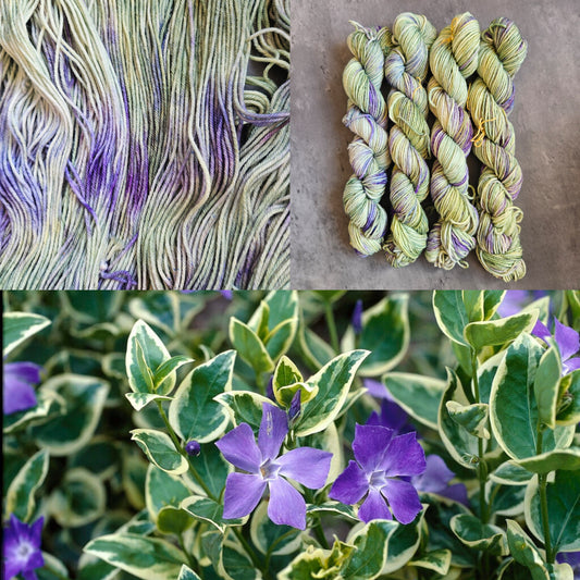 Yarn - Botanical Collection