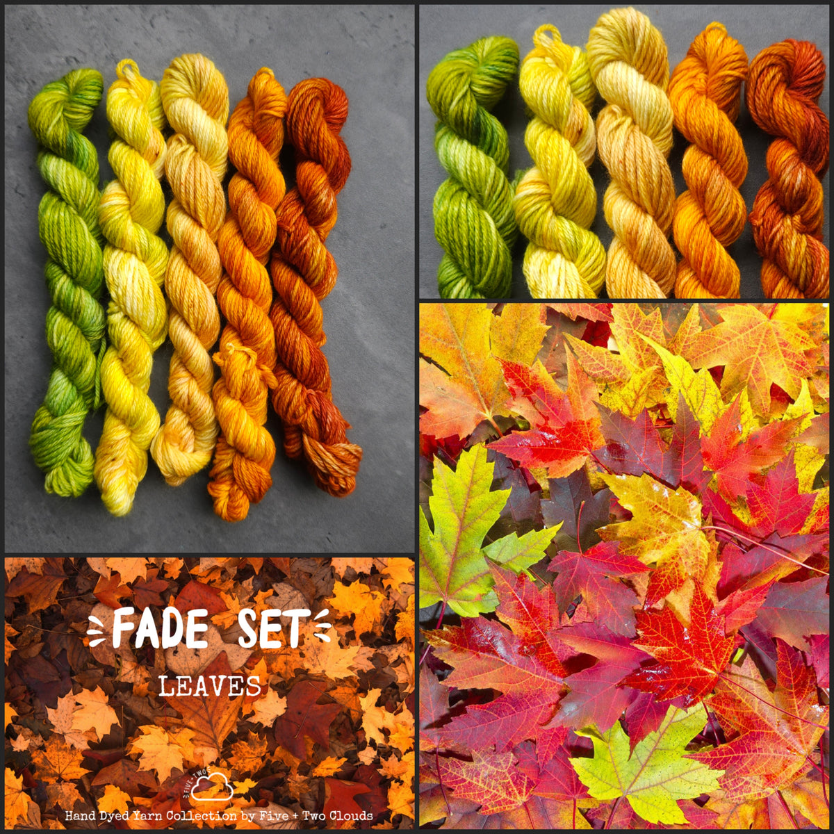 Autumn - Leaves