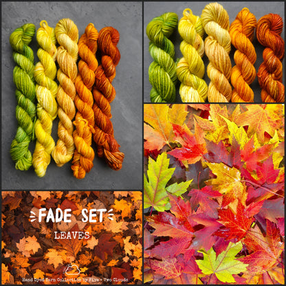 Autumn - Leaves