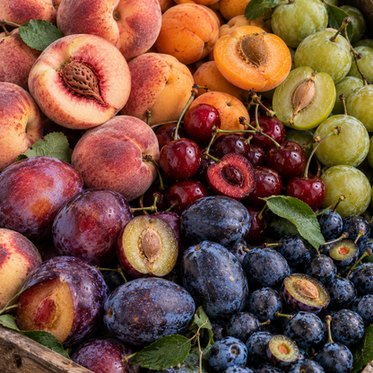 Colour Palette - Stone Fruit