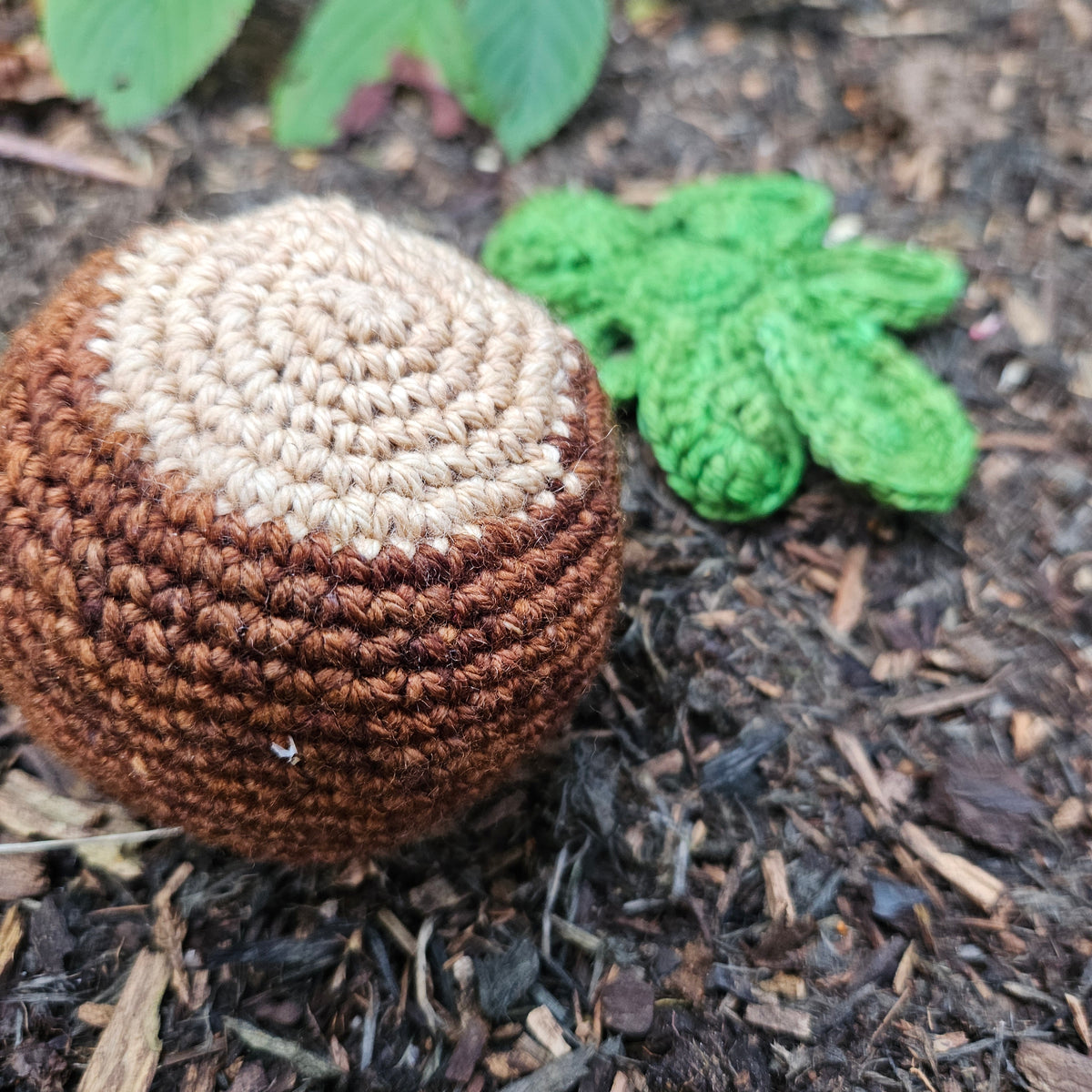 Crochet Kit - Sheldon the Conkerer