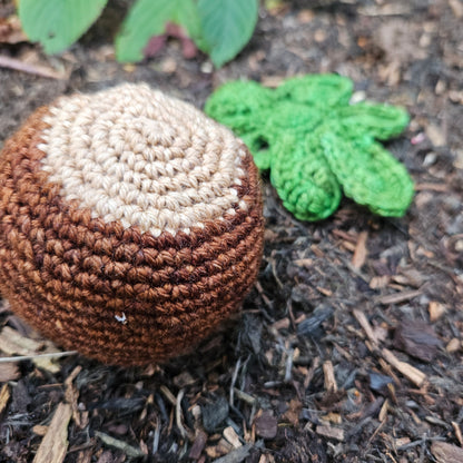 Crochet Kit - Sheldon the Conkerer